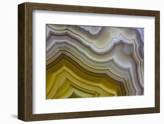 Banded Agate, Sammamish, Washington-Darrell Gulin-Framed Photographic Print