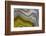 Banded Agate, Sammamish, Washington-Darrell Gulin-Framed Photographic Print