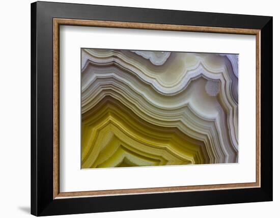 Banded Agate, Sammamish, Washington-Darrell Gulin-Framed Photographic Print