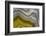 Banded Agate, Sammamish, Washington-Darrell Gulin-Framed Photographic Print