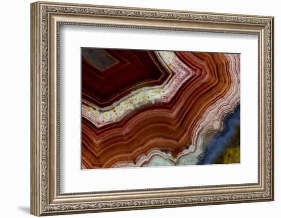 Banded Agate, Sammamish, Washington-Darrell Gulin-Framed Photographic Print