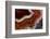 Banded Agate, Sammamish, Washington-Darrell Gulin-Framed Photographic Print