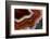 Banded Agate, Sammamish, Washington-Darrell Gulin-Framed Photographic Print