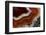 Banded Agate, Sammamish, Washington-Darrell Gulin-Framed Photographic Print