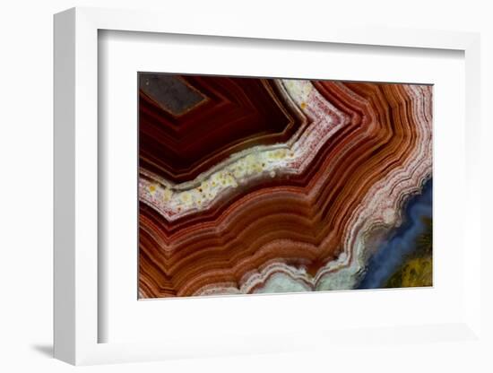 Banded Agate, Sammamish, Washington-Darrell Gulin-Framed Photographic Print