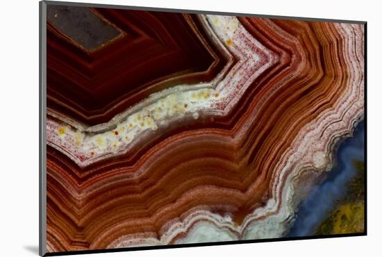 Banded Agate, Sammamish, Washington-Darrell Gulin-Mounted Photographic Print