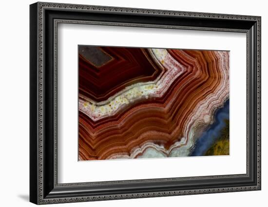 Banded Agate, Sammamish, Washington-Darrell Gulin-Framed Photographic Print