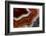 Banded Agate, Sammamish, Washington-Darrell Gulin-Framed Photographic Print