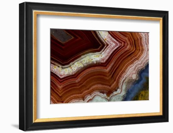 Banded Agate, Sammamish, Washington-Darrell Gulin-Framed Photographic Print