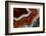 Banded Agate, Sammamish, Washington-Darrell Gulin-Framed Photographic Print