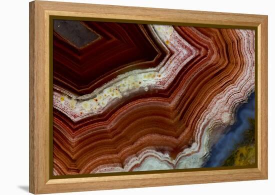 Banded Agate, Sammamish, Washington-Darrell Gulin-Framed Premier Image Canvas