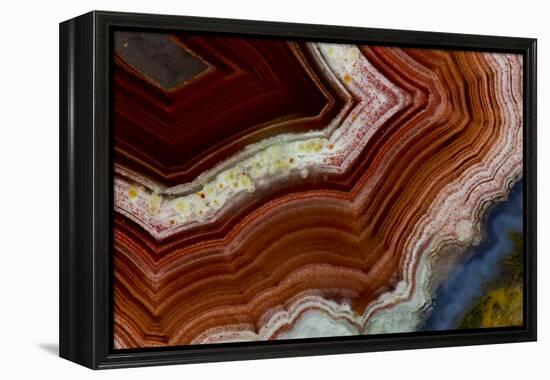 Banded Agate, Sammamish, Washington-Darrell Gulin-Framed Premier Image Canvas