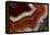 Banded Agate, Sammamish, Washington-Darrell Gulin-Framed Premier Image Canvas