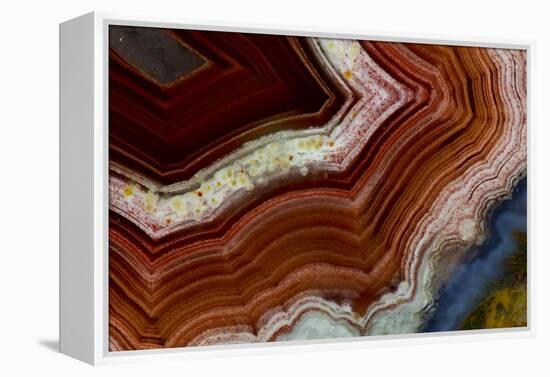 Banded Agate, Sammamish, Washington-Darrell Gulin-Framed Premier Image Canvas