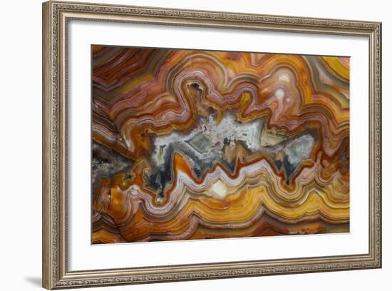 Banded Agate, Sammamish, Washington-Darrell Gulin-Framed Photographic Print