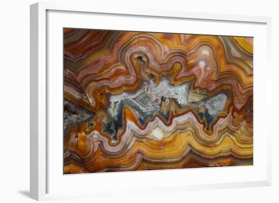 Banded Agate, Sammamish, Washington-Darrell Gulin-Framed Photographic Print