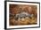 Banded Agate, Sammamish, Washington-Darrell Gulin-Framed Photographic Print