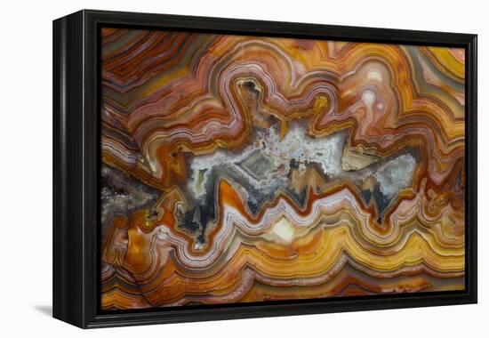 Banded Agate, Sammamish, Washington-Darrell Gulin-Framed Premier Image Canvas