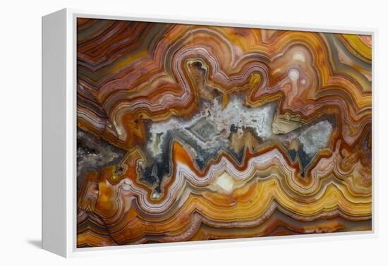 Banded Agate, Sammamish, Washington-Darrell Gulin-Framed Premier Image Canvas