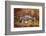 Banded Agate, Sammamish, Washington-Darrell Gulin-Framed Photographic Print