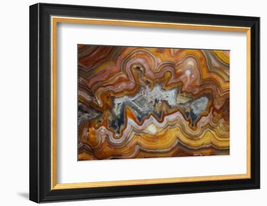 Banded Agate, Sammamish, Washington-Darrell Gulin-Framed Photographic Print