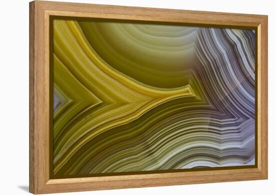 Banded Agate, Sammamish, Washington-Darrell Gulin-Framed Premier Image Canvas