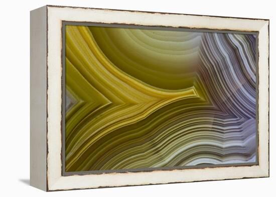 Banded Agate, Sammamish, Washington-Darrell Gulin-Framed Premier Image Canvas