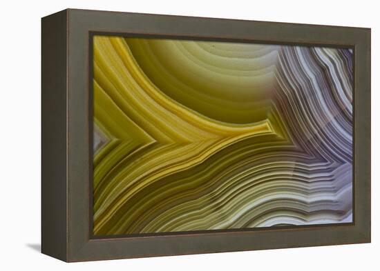 Banded Agate, Sammamish, Washington-Darrell Gulin-Framed Premier Image Canvas