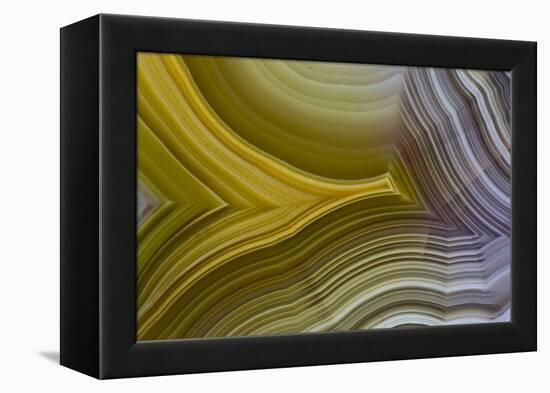 Banded Agate, Sammamish, Washington-Darrell Gulin-Framed Premier Image Canvas