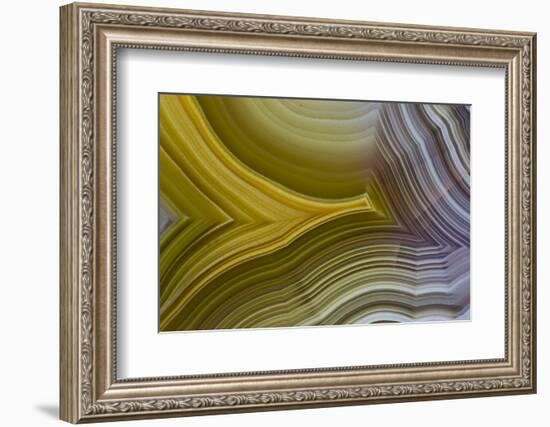 Banded Agate, Sammamish, Washington-Darrell Gulin-Framed Photographic Print