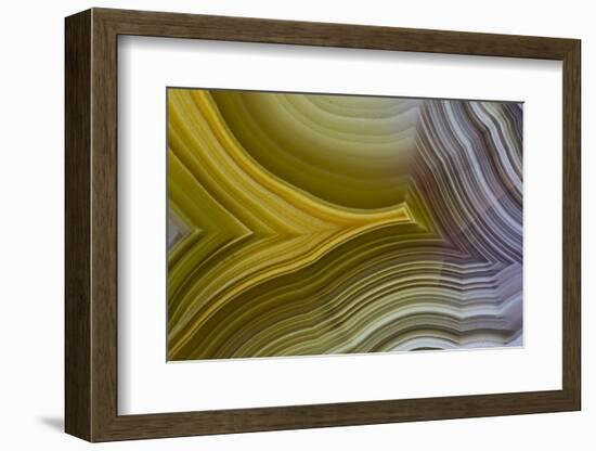 Banded Agate, Sammamish, Washington-Darrell Gulin-Framed Photographic Print