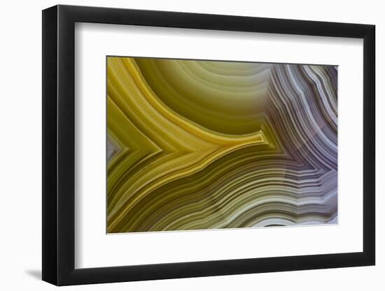 Banded Agate, Sammamish, Washington-Darrell Gulin-Framed Photographic Print