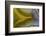 Banded Agate, Sammamish, Washington-Darrell Gulin-Framed Photographic Print