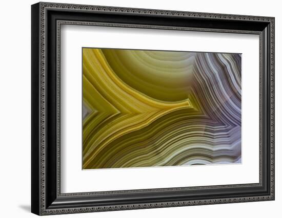 Banded Agate, Sammamish, Washington-Darrell Gulin-Framed Photographic Print