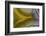 Banded Agate, Sammamish, Washington-Darrell Gulin-Framed Photographic Print