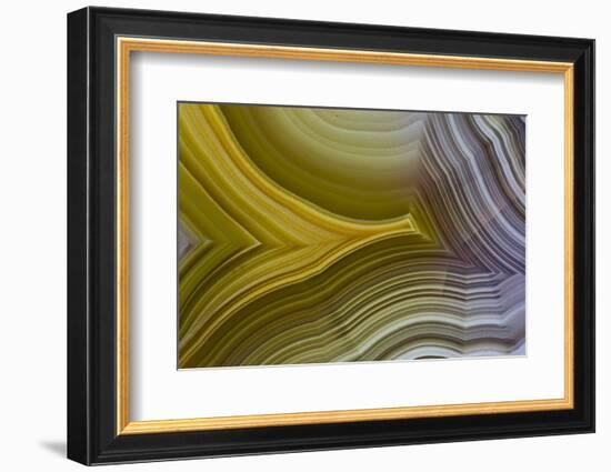 Banded Agate, Sammamish, Washington-Darrell Gulin-Framed Photographic Print