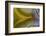 Banded Agate, Sammamish, Washington-Darrell Gulin-Framed Photographic Print