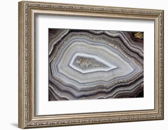 Banded Agate, Sammamish, Washington-Darrell Gulin-Framed Photographic Print