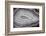 Banded Agate, Sammamish, Washington-Darrell Gulin-Framed Photographic Print