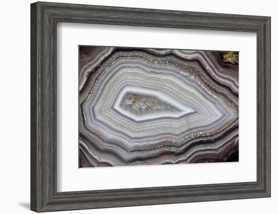 Banded Agate, Sammamish, Washington-Darrell Gulin-Framed Photographic Print