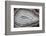 Banded Agate, Sammamish, Washington-Darrell Gulin-Framed Photographic Print