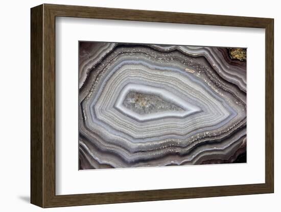 Banded Agate, Sammamish, Washington-Darrell Gulin-Framed Photographic Print