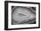 Banded Agate, Sammamish, Washington-Darrell Gulin-Framed Photographic Print