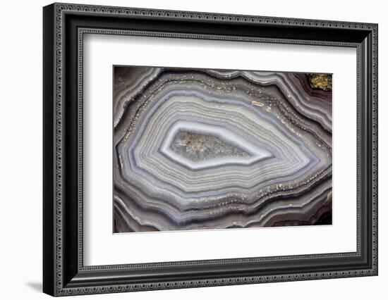 Banded Agate, Sammamish, Washington-Darrell Gulin-Framed Photographic Print