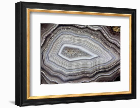 Banded Agate, Sammamish, Washington-Darrell Gulin-Framed Photographic Print