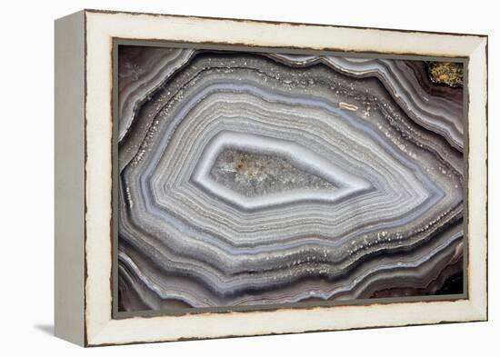 Banded Agate, Sammamish, Washington-Darrell Gulin-Framed Premier Image Canvas