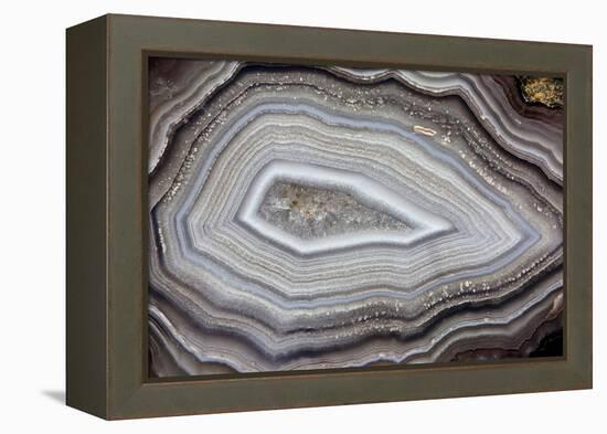 Banded Agate, Sammamish, Washington-Darrell Gulin-Framed Premier Image Canvas