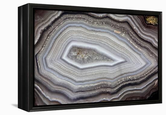 Banded Agate, Sammamish, Washington-Darrell Gulin-Framed Premier Image Canvas