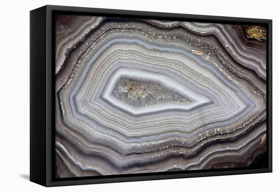 Banded Agate, Sammamish, Washington-Darrell Gulin-Framed Premier Image Canvas