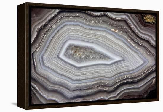 Banded Agate, Sammamish, Washington-Darrell Gulin-Framed Premier Image Canvas